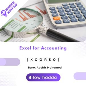 Excel For Accounting